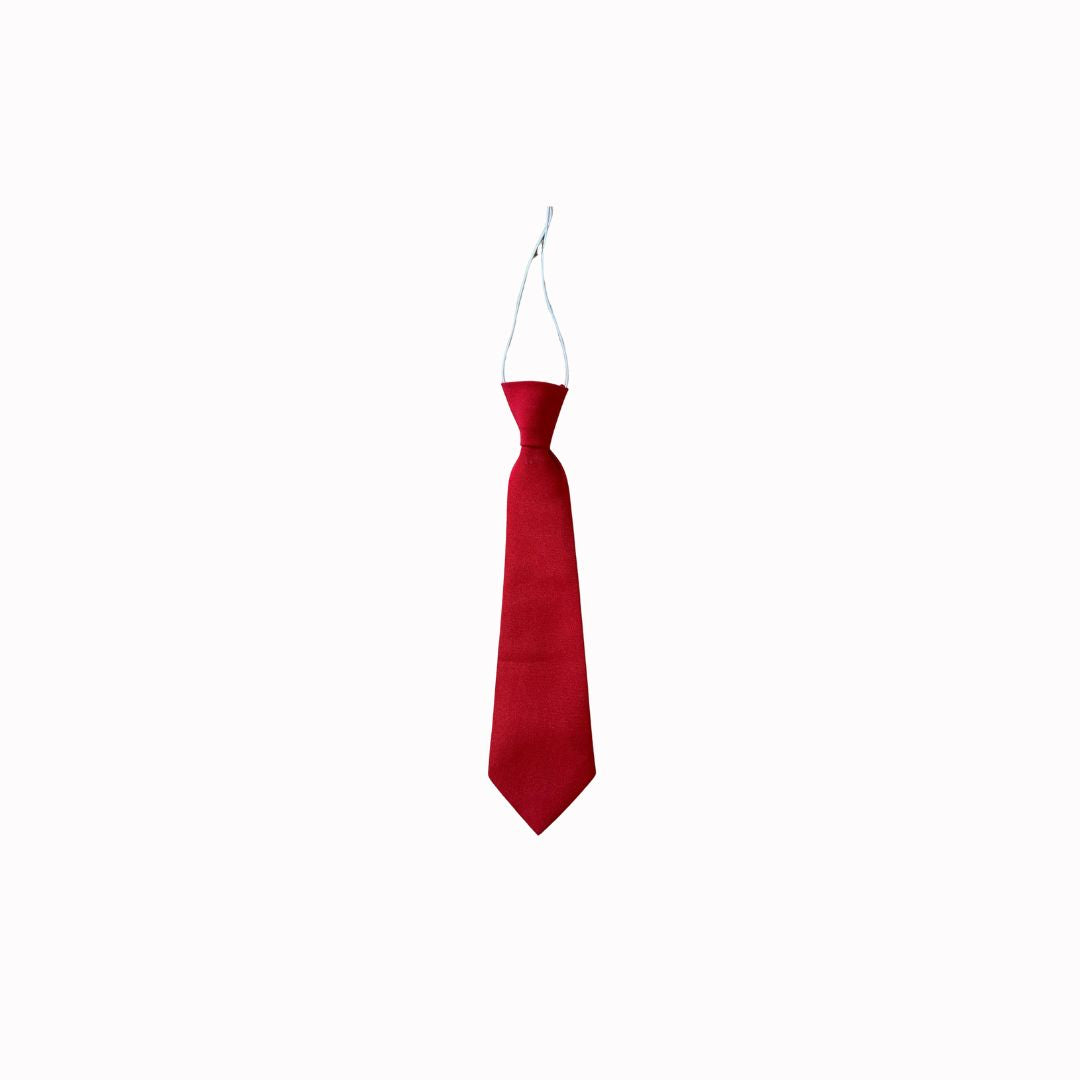 Red School Tie